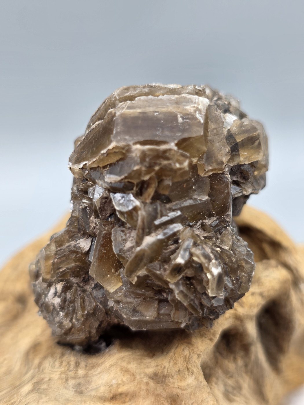 ドイツ・アムスドルフ産セレナイト原石 SLN022