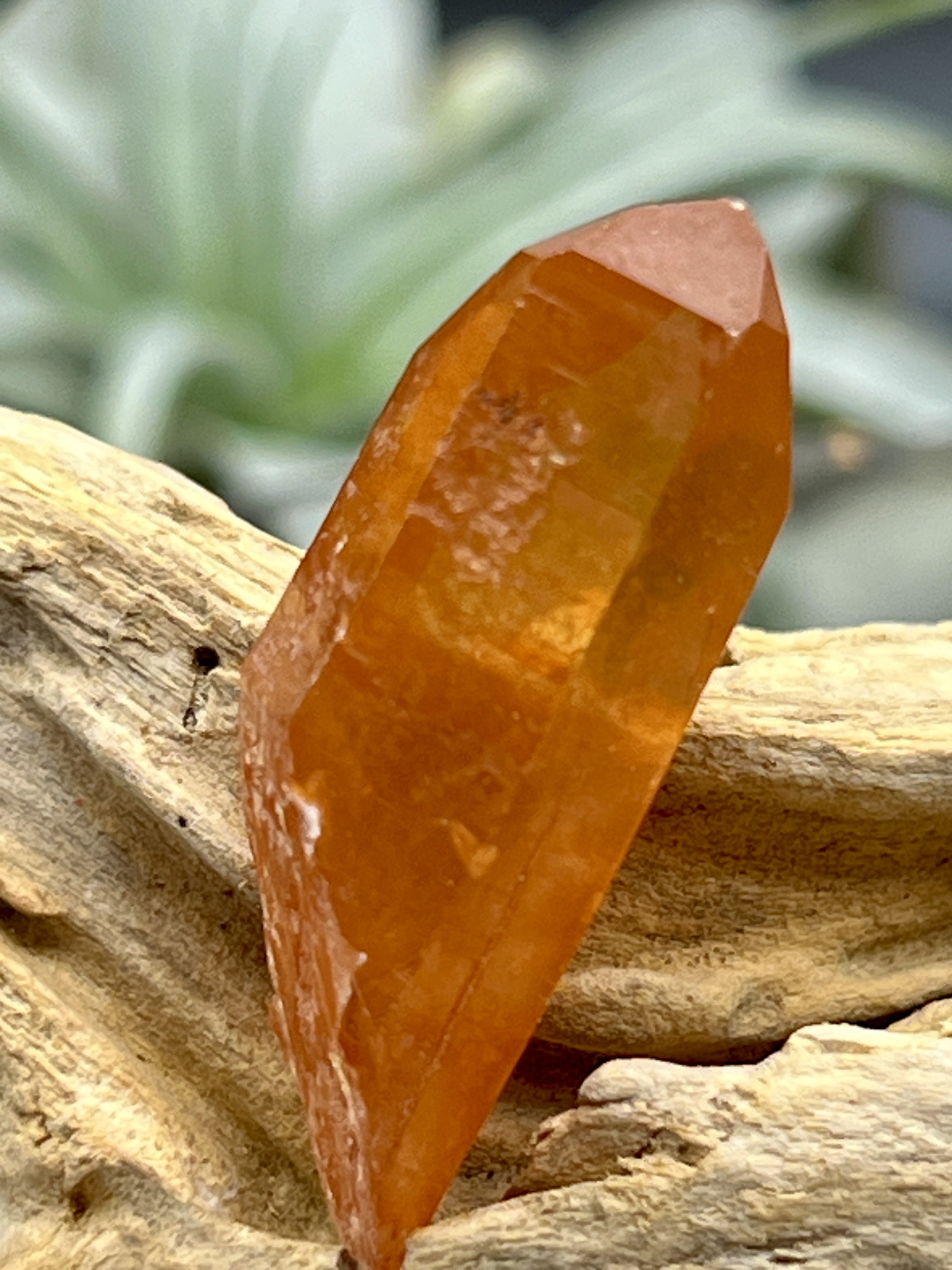 カブラル産ゴールデンレムリアンシード（タンジェリン） TLM006