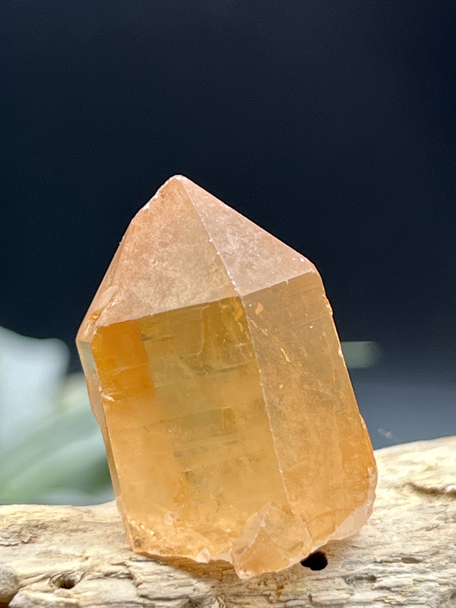 カブラル産ゴールデンレムリアンシード（タンジェリン） TLM010