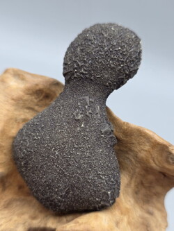 ボージャイストーン・フィギュアエイト （シングル） BJS372