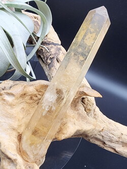 南アフリカ・シャバザイン産ナチュラルシトリン・ポイント（シンギング・レインボウ） CIT043