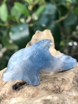 中国産フローライト・ドルフィン（イルカ） DOL026