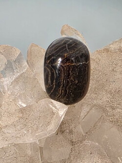 【Melody's collection】フロンデライト・ルース FRD006