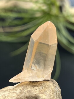 カブラル産ゴールデンレムリアンシード（ゴールド） GLM012