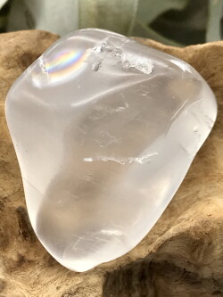 メタモルフォーシス・タンブル（グランドフォーメーション） MFT134