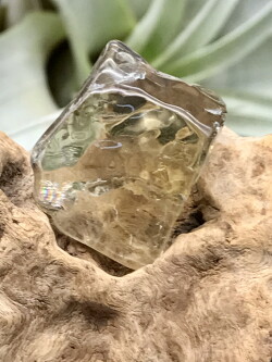 オーロヴェルデ・磨き（メタモルフォーシス）（グランドフォーメーション） ORV037