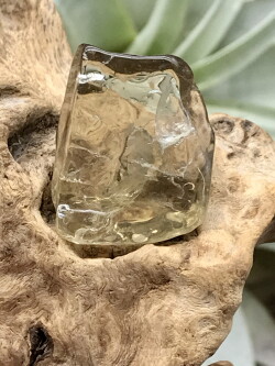 オーロヴェルデ・磨き（メタモルフォーシス）（グランドフォーメーション） ORV039