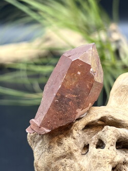 カブラル産ゴールデンレムリアンシード（レッド） RDL004