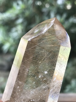 ブラジル産ルチルクォーツ・ポイント（ポリッシュ） RUT007