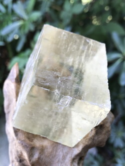 メキシコ・ナイガ鉱山 オプティカル・イエローカルサイト YCA006