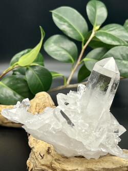 ゼコデソーザクォーツ（ゼカジソーザ・ゼッカクリスタル）・クラスター ZEC089