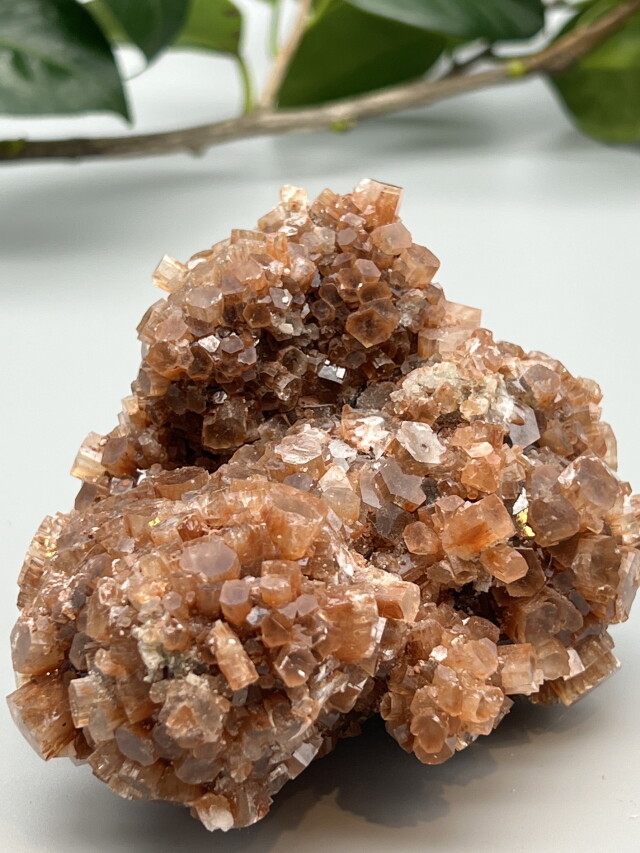 ★特別ご提供★極上結晶☆柱状クリスタル【モロッコ産天然アラゴナイト結晶原石】❤️ ☆特別ご提供☆極上結晶☆柱状クリスタル【モロッコ産天然アラゴナイト