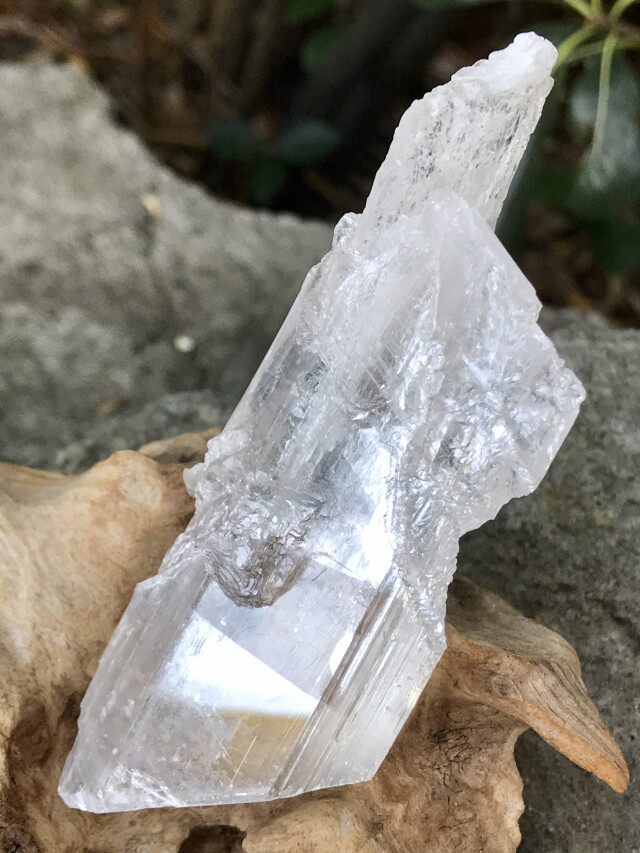 海外産ナイカセレナイト メキシコ ナイカ鉱山産セレナイト/Selenite (透石膏)