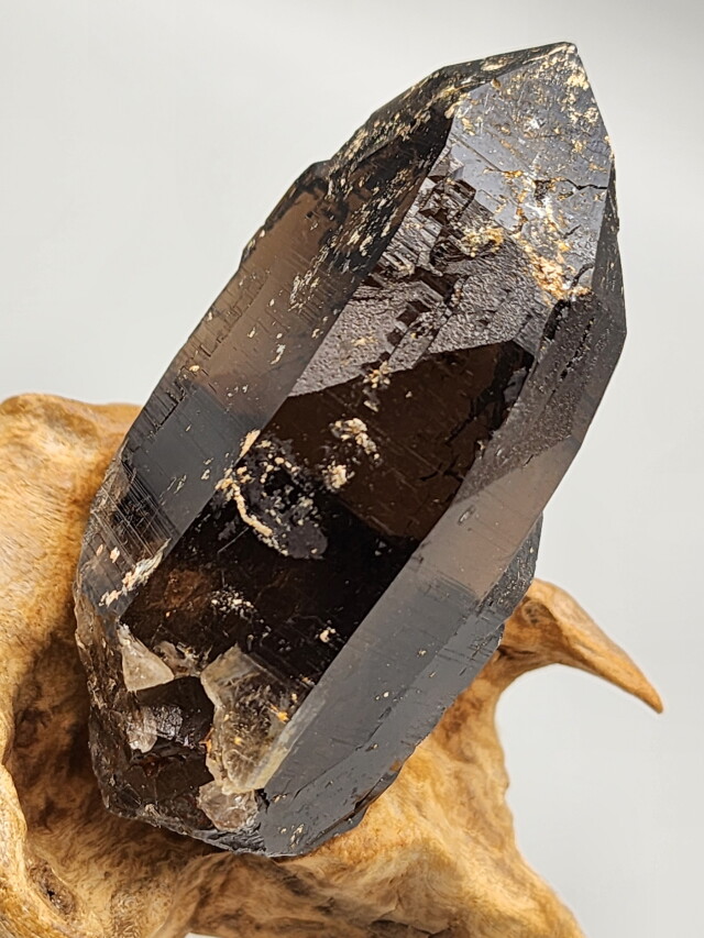 スモーキークォーツ  塊 原石 スモーキークォーツ原石（0.5インチ～3インチ） - スモーキークォーツ