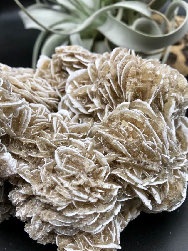 サンドローズ(デザートローズ) 砂漠の薔薇 デザートローズ サンドローズ クラスター 鉱物 原石