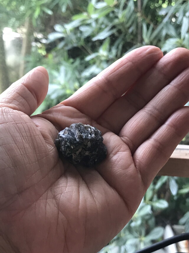 タスマニア産ダーウィングラス（隕石） DWG002