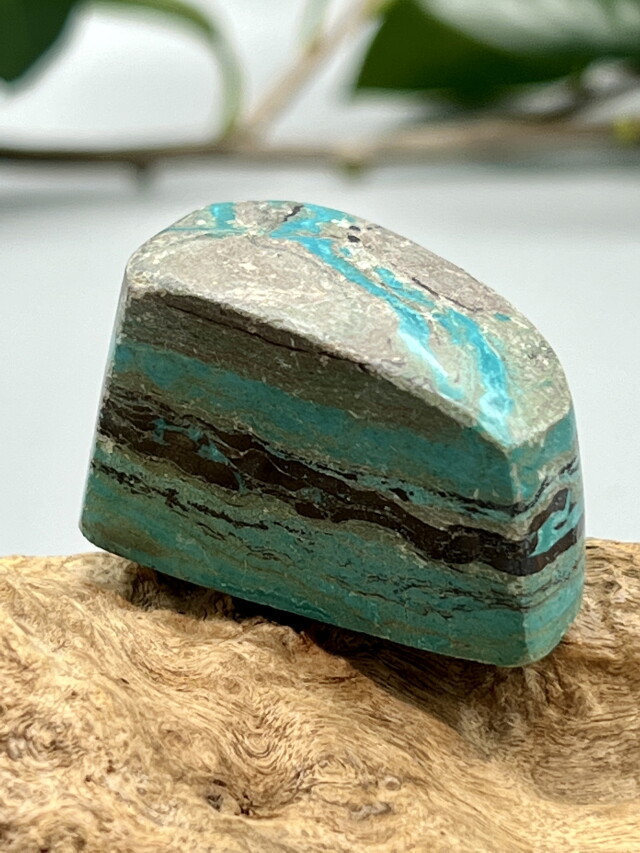 イスラエル産エイラットストーン・ポリッシュ ELT002