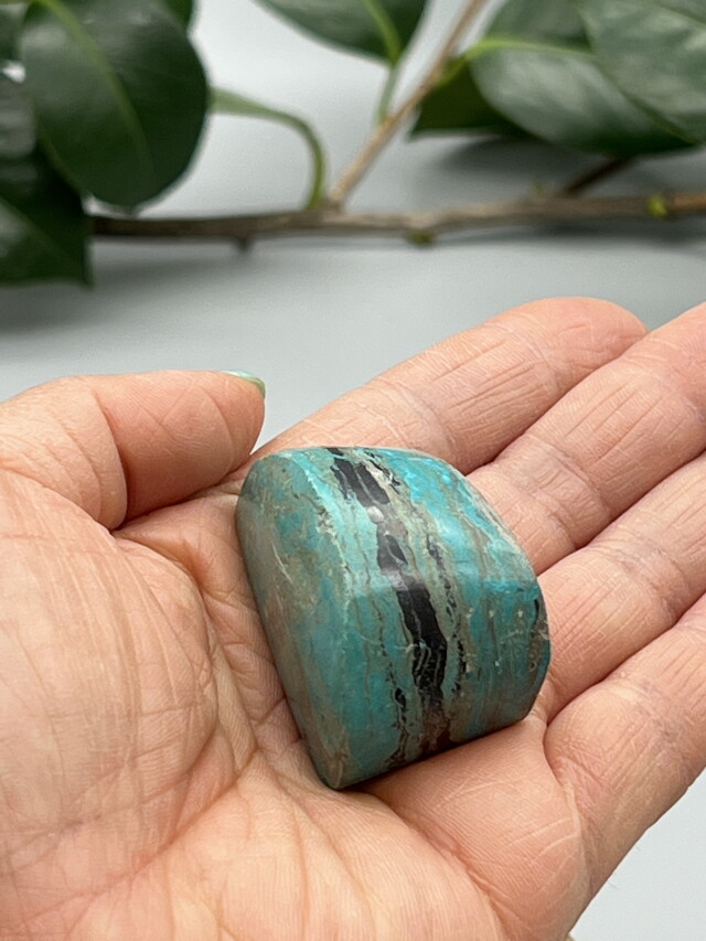 イスラエル産エイラットストーン・ポリッシュ ELT002