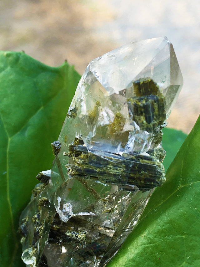 エピドート In クォーツ エクストラ テレストリアル Epd011