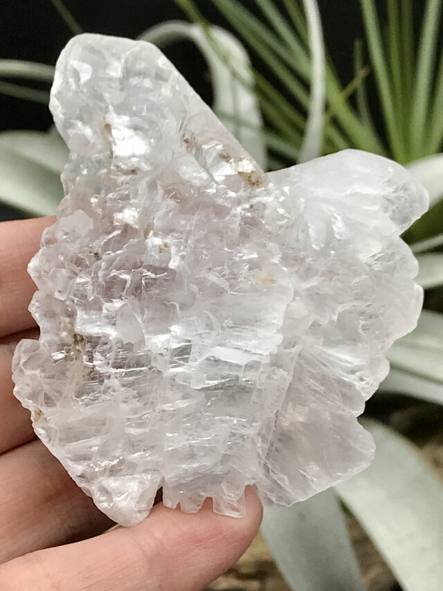 舗 MY137 セレナイト フィッシュテール エンジェルウィング 天然石