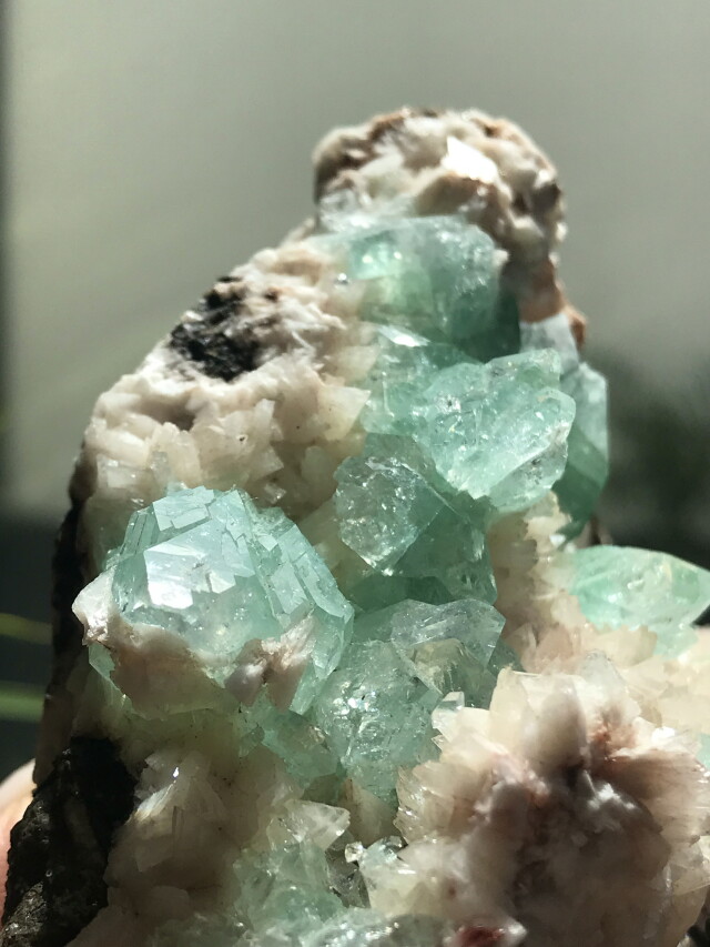 インド産グリーンアポフィライト・大 GAP024