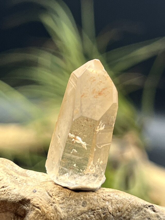 レムリアンシードクリスタルゴールド 希少】オールドストック