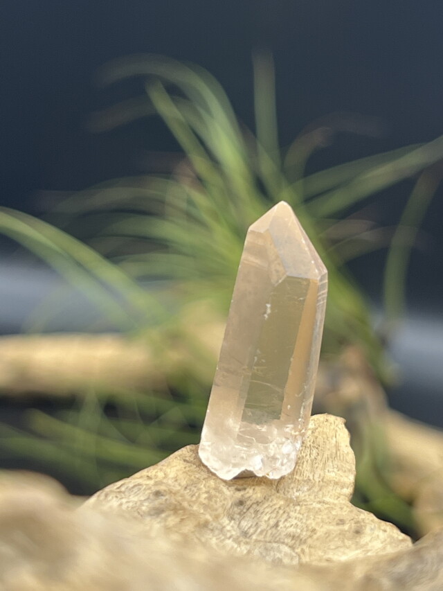 カブラル産ゴールデンレムリアンシード（ゴールド） GLM009