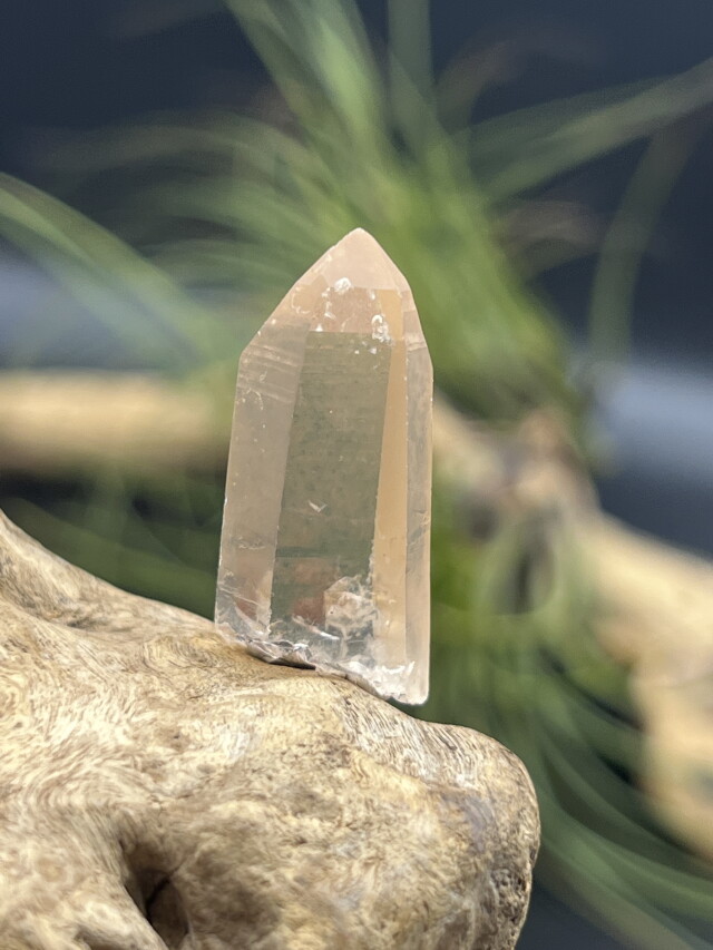 カブラル産ゴールデンレムリアンシード（ゴールド） GLM009