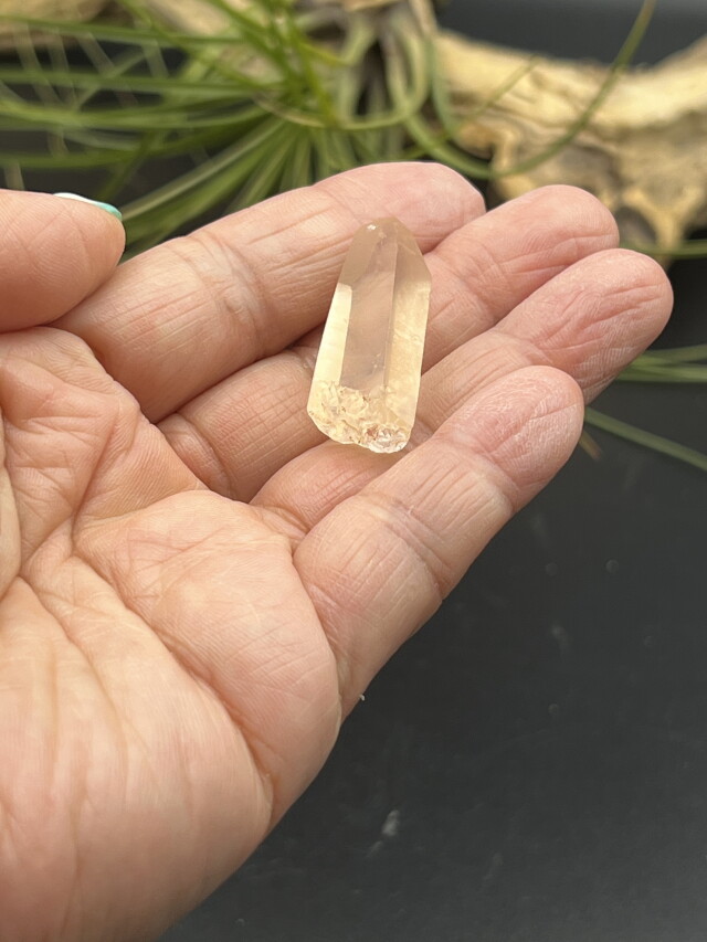 カブラル産ゴールデンレムリアンシード（ゴールド） GLM009