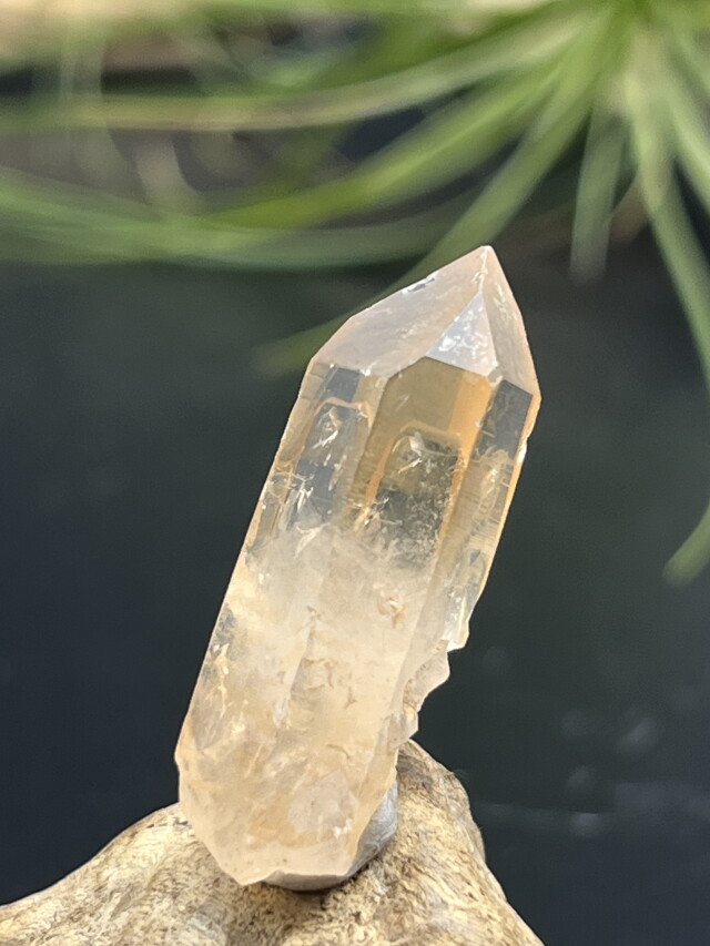 カブラル産ゴールデンレムリアンシード（ゴールド） GLM016