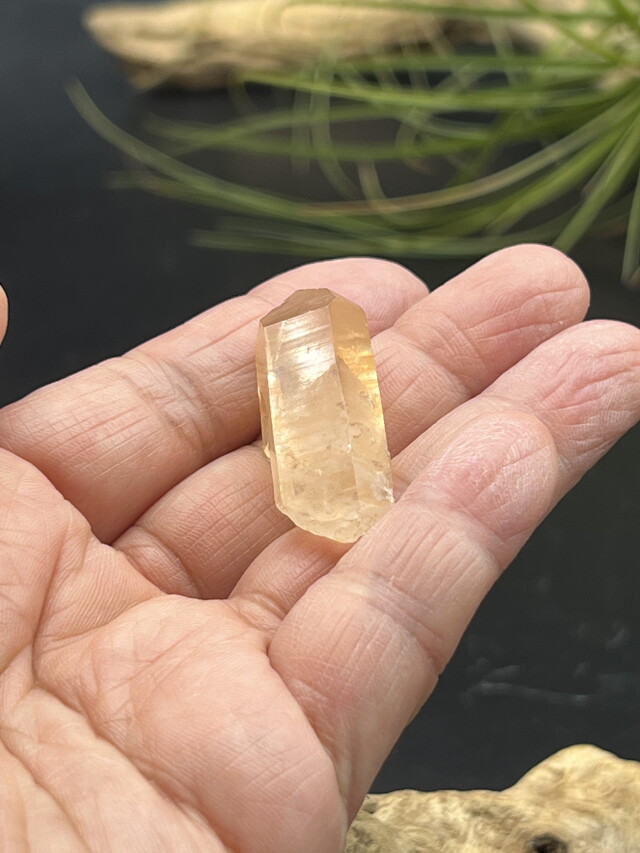 カブラル産ゴールデンレムリアンシード（ゴールド） GLM016