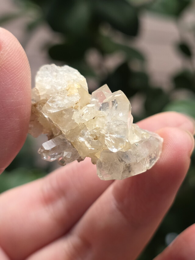 Melody's collection】 メロディ・グリーン・マイン・原石 MGM591