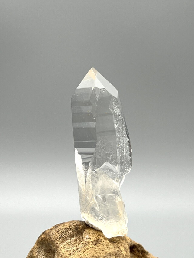 初期 タンザニアモンドクォーツ Mondo Quartz モンドクォーツ／タンザニア産- LIGHTNESS TREE