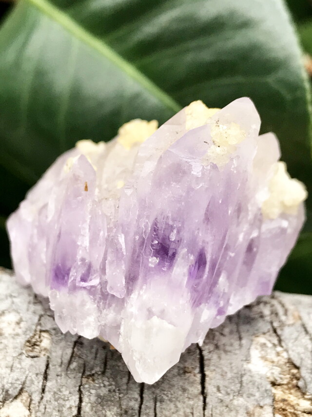 アフリカのナミビア産のアメジスト アメシスト【Amethyst】ナミビア産 | PEANUTS MINERALS