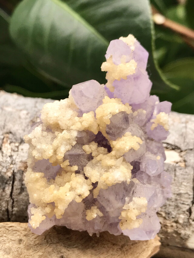 アフリカのナミビア産のアメジスト アメシスト【Amethyst】ナミビア産 | PEANUTS MINERALS
