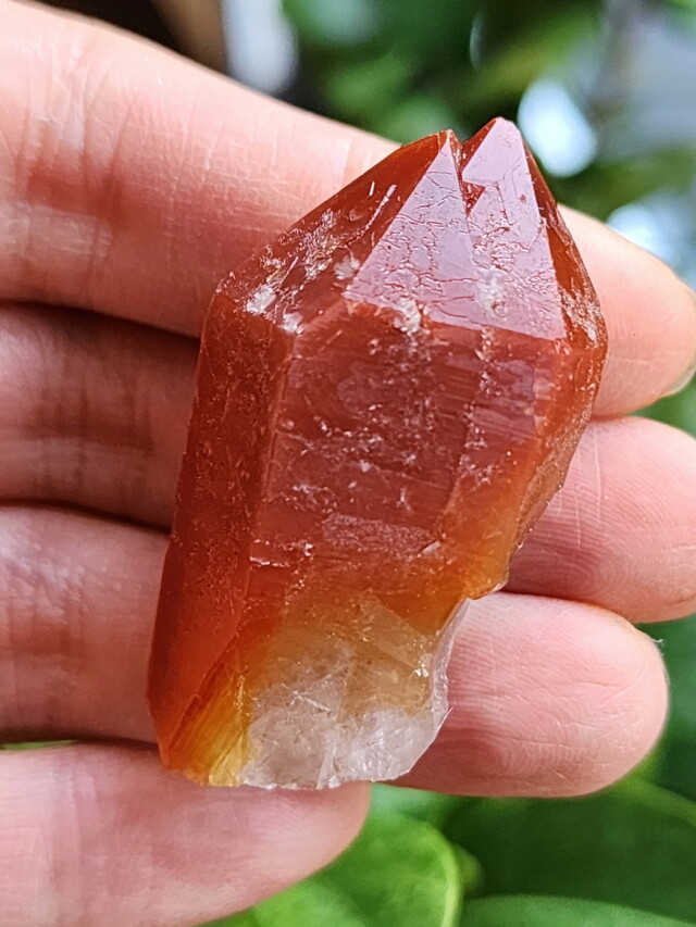 超希少！すっごいやつ！ブラジルゴイアス！ドリームコートレムリアン！ズドーンとくる 超希少！すっごいやつ！ブラジルゴイアス！ドリームコート