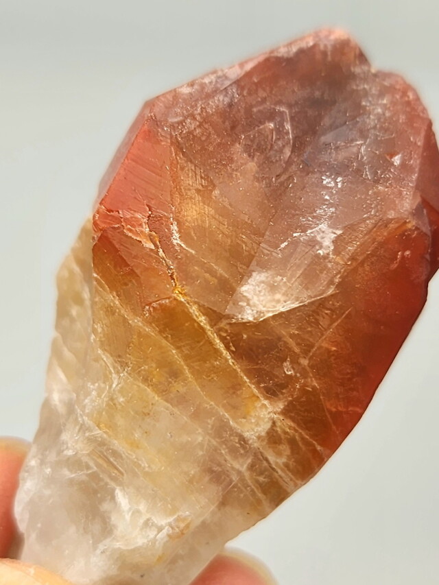 ブラジル・ゴイアス州クリスタリーナ産レッドドリームコート