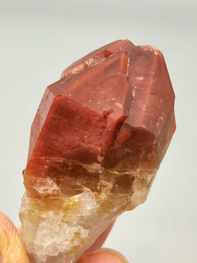 ブラジル・ゴイアス州クリスタリーナ産レッドドリームコート