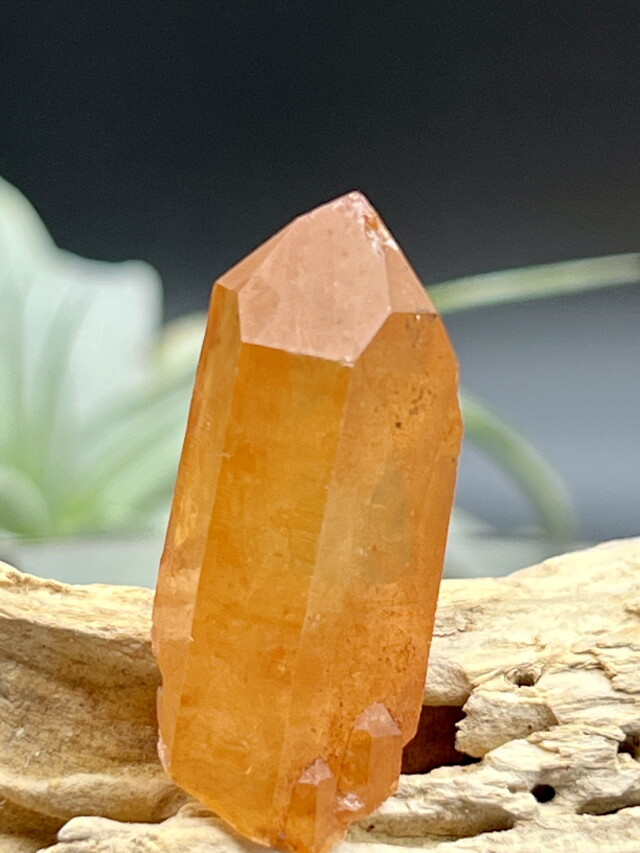 カブラル産ゴールデンレムリアンシード（タンジェリン） TLM008