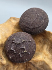 ボージャイストーン・M（ペア） BJS370