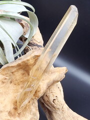 南アフリカ・シャバザイン産ナチュラルシトリン・ポイント（シンギング） CIT041