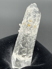 コロンビア・サンタンデール産レムリアンシード（バーナクル） CLM003