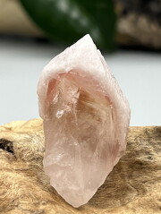 ディアマンティーナ産ストロベリー・ドリームシクル・レムリアン DSC005