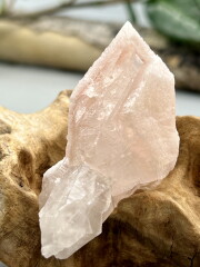 ディアマンティーナ産ストロベリー・ドリームシクル・レムリアン DSC007