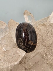 【Melody's collection】フロンデライト・ルース FRD004