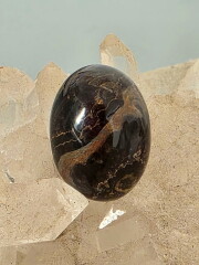 【Melody's collection】フロンデライト・ルース FRD014