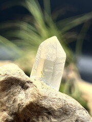 カブラル産ゴールデンレムリアンシード（ゴールド） GLM003