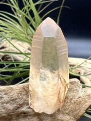 カブラル産ゴールデンレムリアンシード（ゴールド） GLM005