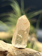 カブラル産ゴールデンレムリアンシード（ゴールド） GLM006