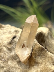 カブラル産ゴールデンレムリアンシード（ゴールド） GLM007